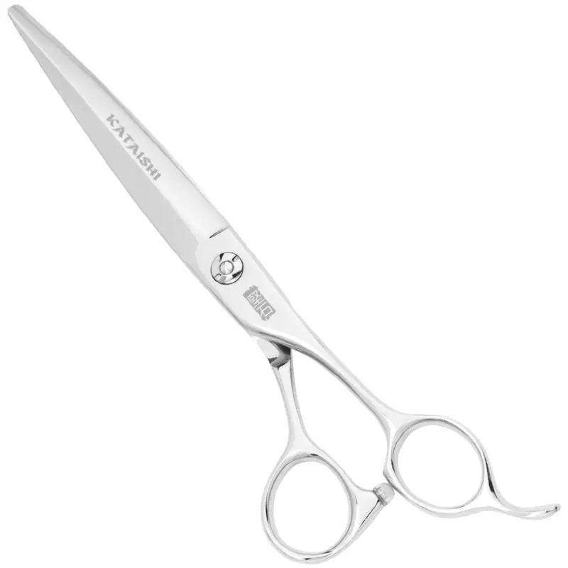 Fujisan -911C9 Kataishi