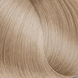 10.11 -INTENSE ASH PLATINUM BLONDE / HAIR COLOR 100ML Expertia