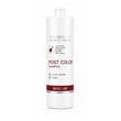 Spa Master Post Color Shampoo SPA MASTER