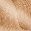 9.72-VERY LIGHT CHESTNUT BLOND / HAIR COLOR 100ML Expertia